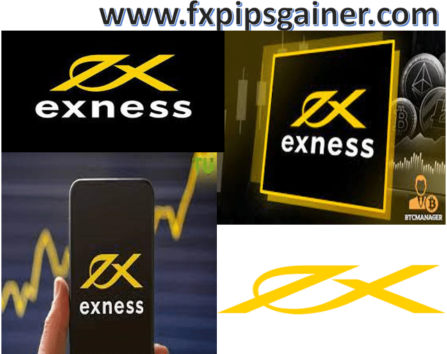 Ultimate Guide to Exness MT4 Terminal